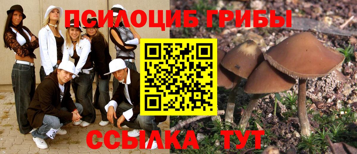 наркошоп  Вход с VPN  Ялта  Псилоцибиновые грибы Magic Shrooms 